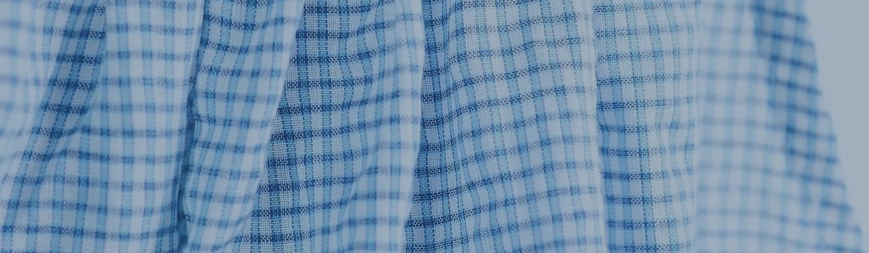 millemarcheのメインビジュアル